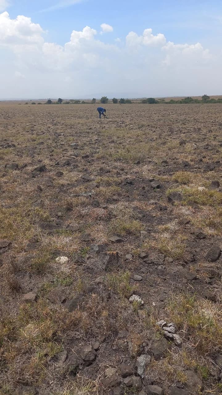 Main property image