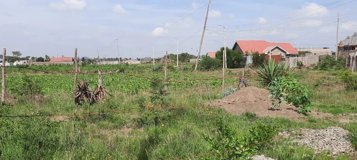Main property image