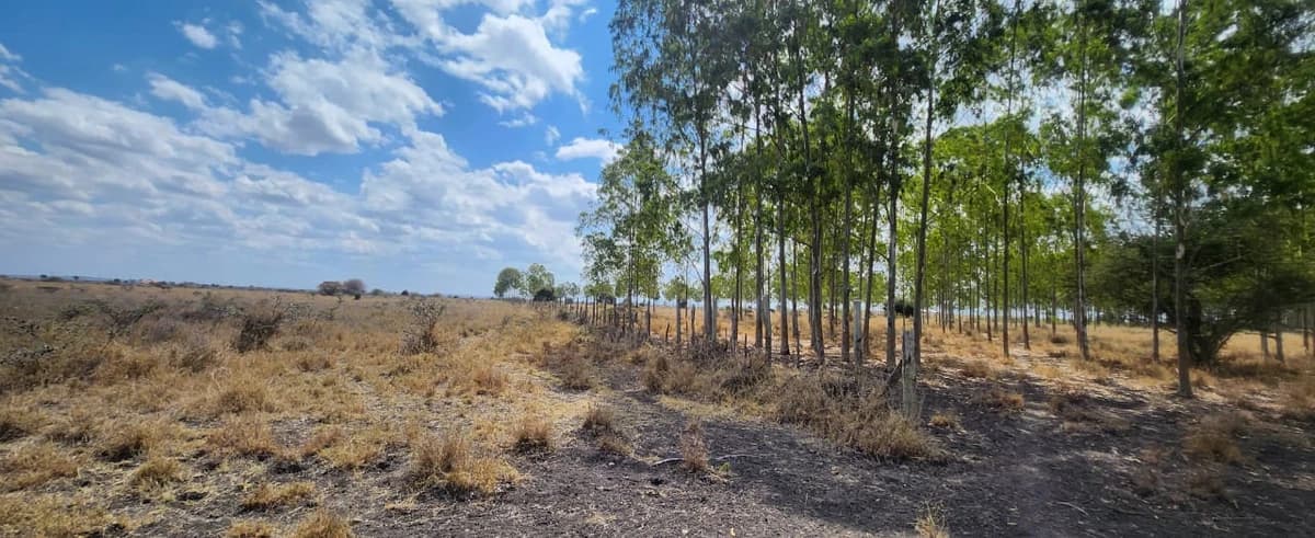 Main property image
